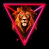 ∆>XFOBIA<∆