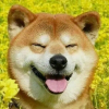 随便玩玩@@@