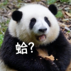 改名嫑闪光暗五