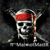 π~MarmotMastR