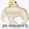 Velajuel©