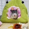 躺 　