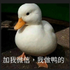 暴筋的IKUN