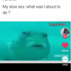 RXSPXT_DED