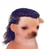 WOLFFRAMIO