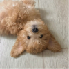 애리ㅋ