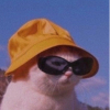 DessDior