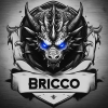 ¿Briccoboss¿
