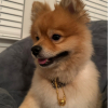 Bœ.