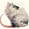 Grubenratte