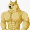 강아지