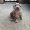 [SC]Ka0z