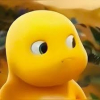 sʜᴀᴀ