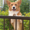 たり坊