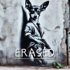 Erased~