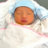 Triệu.Gia