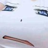 kopom_eiei
