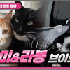 까미와라봉