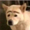 Enbu