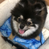 아리ㅇㅅaㅇ