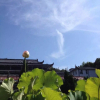假→修真