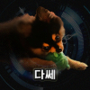 다쎄