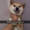 Đoge