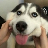 暴走抵抗小棒子