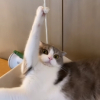 ʟɪʟʟᴜᴇ☊
