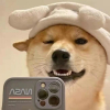 有梦就别怕痛