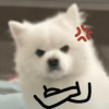 秋水丶