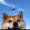 欧皇小娃