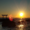 カガセオさん