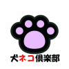 てのぞう
