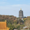 云游