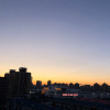 喵大吉