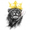 King_FlyS