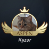 Aerosyz