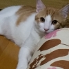 さだゆき223