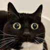 Ȥeroム
