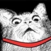Mr.FatCat