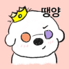 땡양