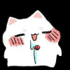 형님모코코