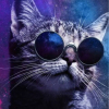 Meow❖Taywan