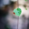 ♀雨你无瓜