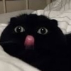 Lunatykz