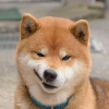 XxBiNxX