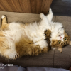 ᵗᵉᵈⁱ