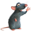 RatGød