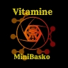 MiniBasko